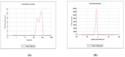 Low-cost nano biochar: a sustainable approach for drought stress mitigation in faba bean (Vicia faba L.)